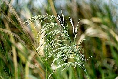 迪士尼收购了BioWare？《龙腾世纪：影障守护者》首个预告遭差评轰炸