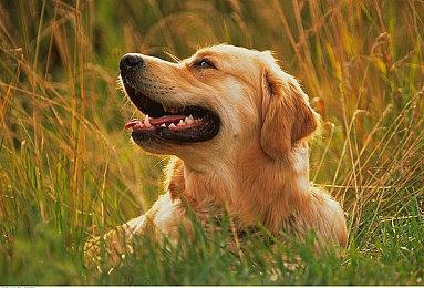 《崩坏：星穹铁道》PS5版今日正式上线 支持原生4K