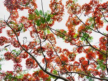 世嘉考虑重启＆重制一些旗舰IP游戏 尤其是《索尼克》